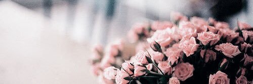 hlm_288's profile banner image