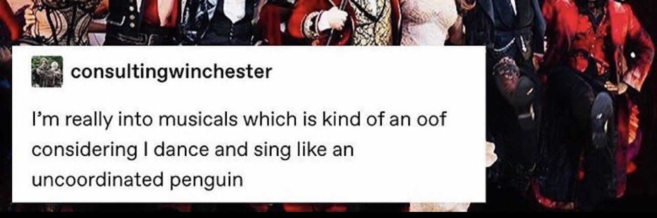 El señor de la noche banner