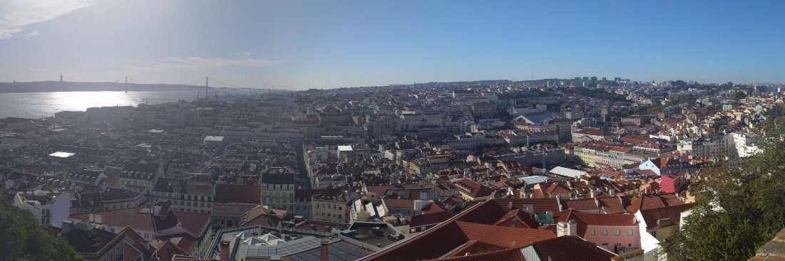 Anders Lyhne Christensen banner