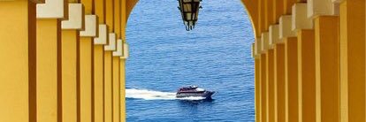 Paloma4M's profile banner image