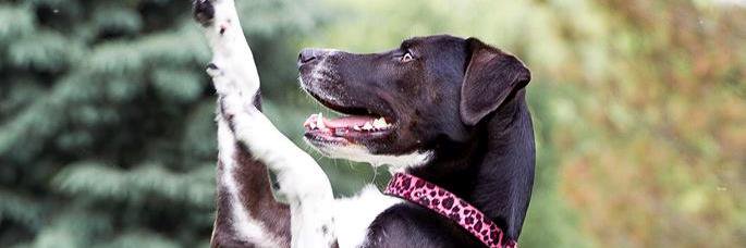 Janice234's profile banner image