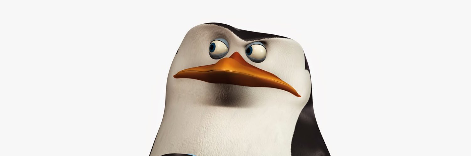 MrSkipperCod's profile banner image