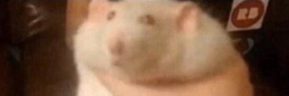 harry️ (mod n) banner