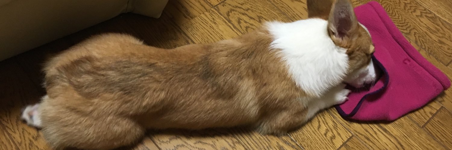 TKS5328's profile banner image