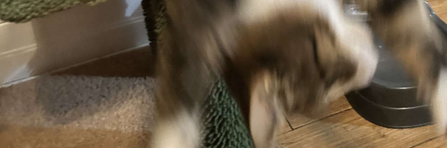 PrivateKibbinz's profile banner image