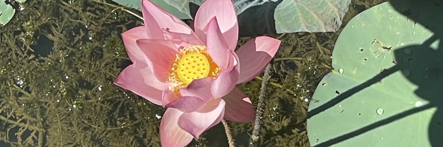 RaquelPardo1's profile banner image