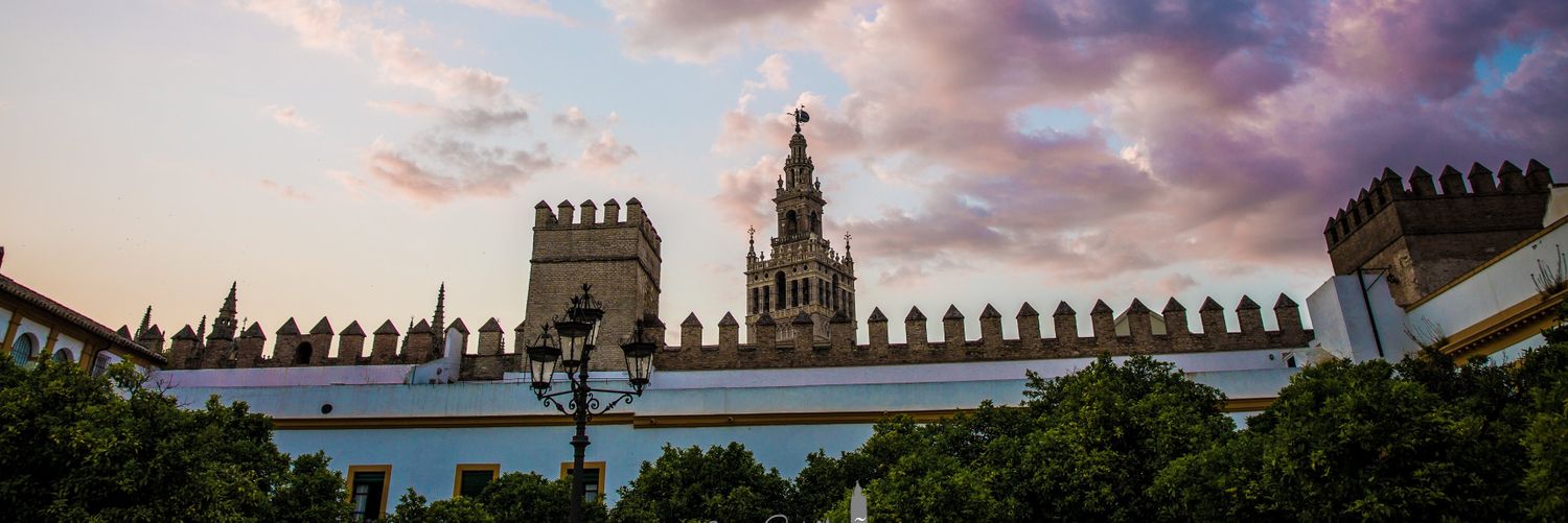 Rabbit | SFC 🔴 banner