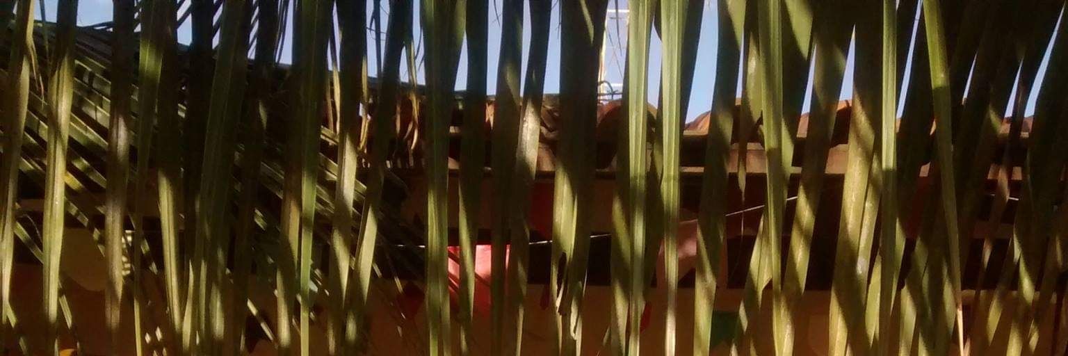 ferfideles_'s profile banner image