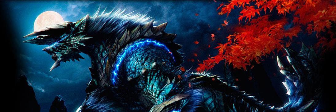 RaidenOkami's profile banner image