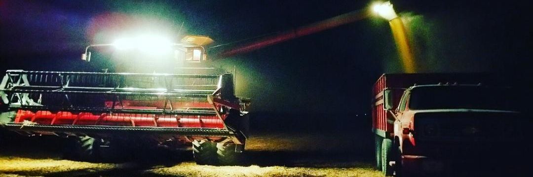 PatetheGreat's profile banner image