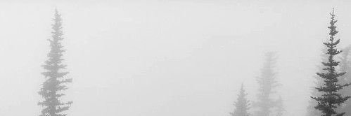sh_a_73's profile banner image