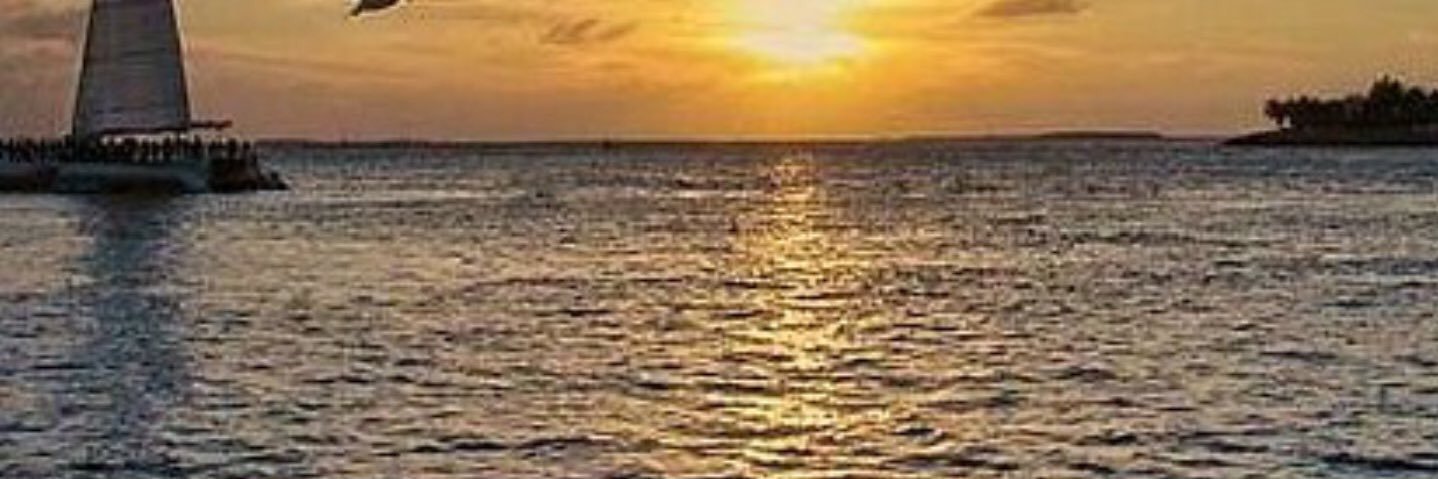x_R2030's profile banner image