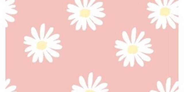 xcatooo's profile banner image