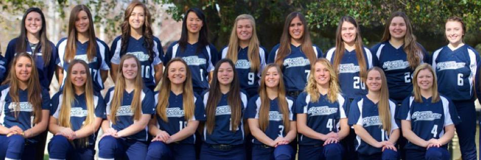 Menlo Softball banner