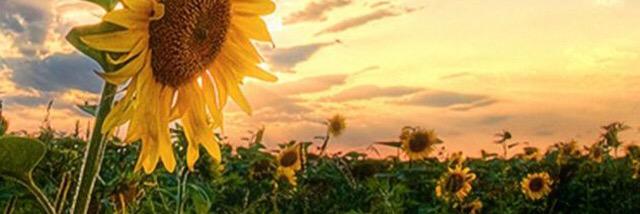 jennna_deee's profile banner image