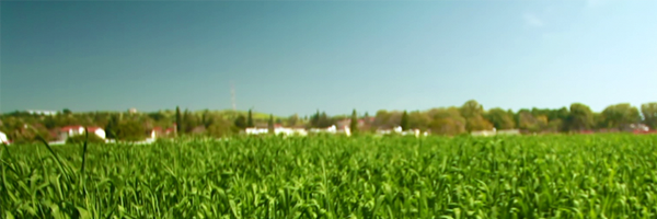 UNL_PSEP Profile Banner