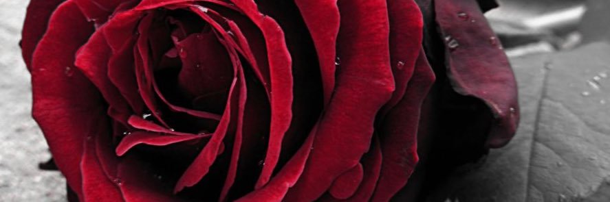 FGFG3241696's profile banner image