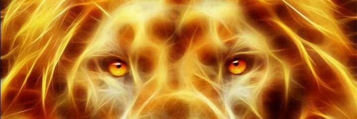 Shenard3's profile banner image
