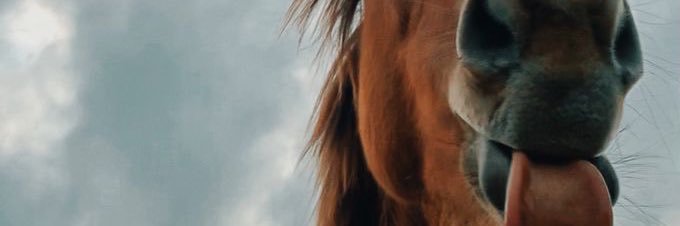 SaavedraManu's profile banner image