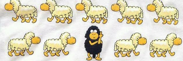directorbey's profile banner image