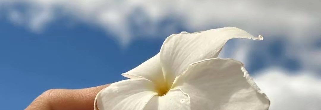 luly_cacheada's profile banner image