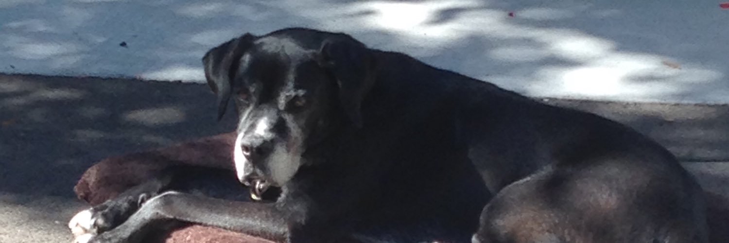 AndyJuettner's profile banner image