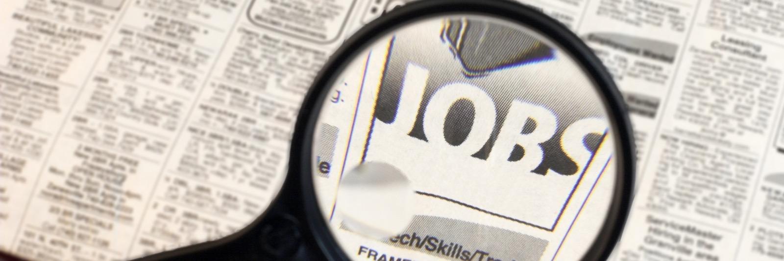 FindJobsHub's profile banner image