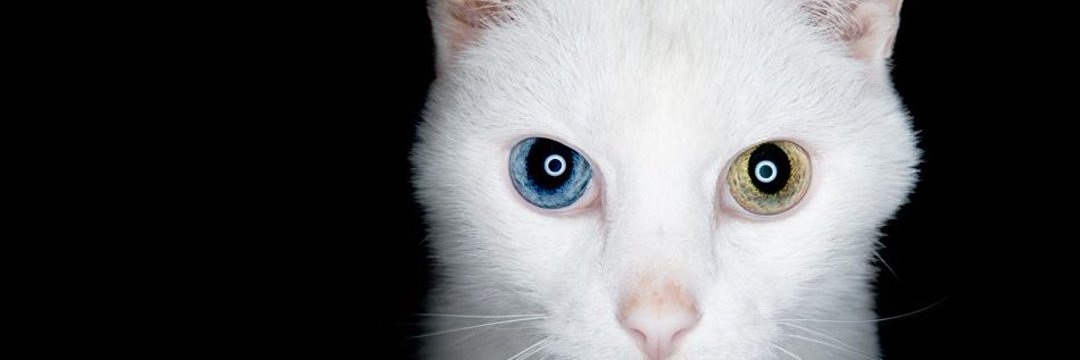 wigenn__'s profile banner image