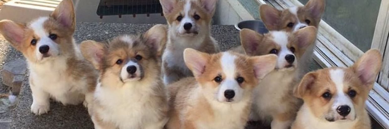 fraumms55's profile banner image