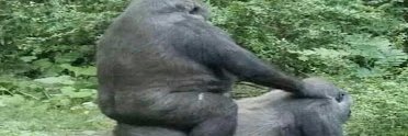 ThorAxle's profile banner image