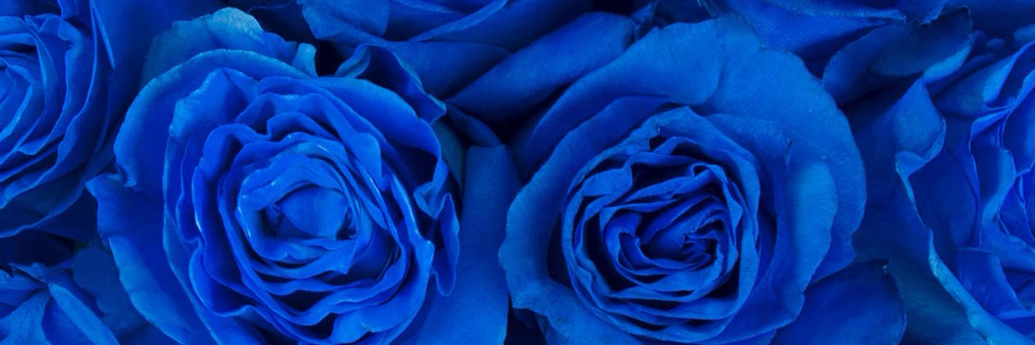 _May11thh's profile banner image
