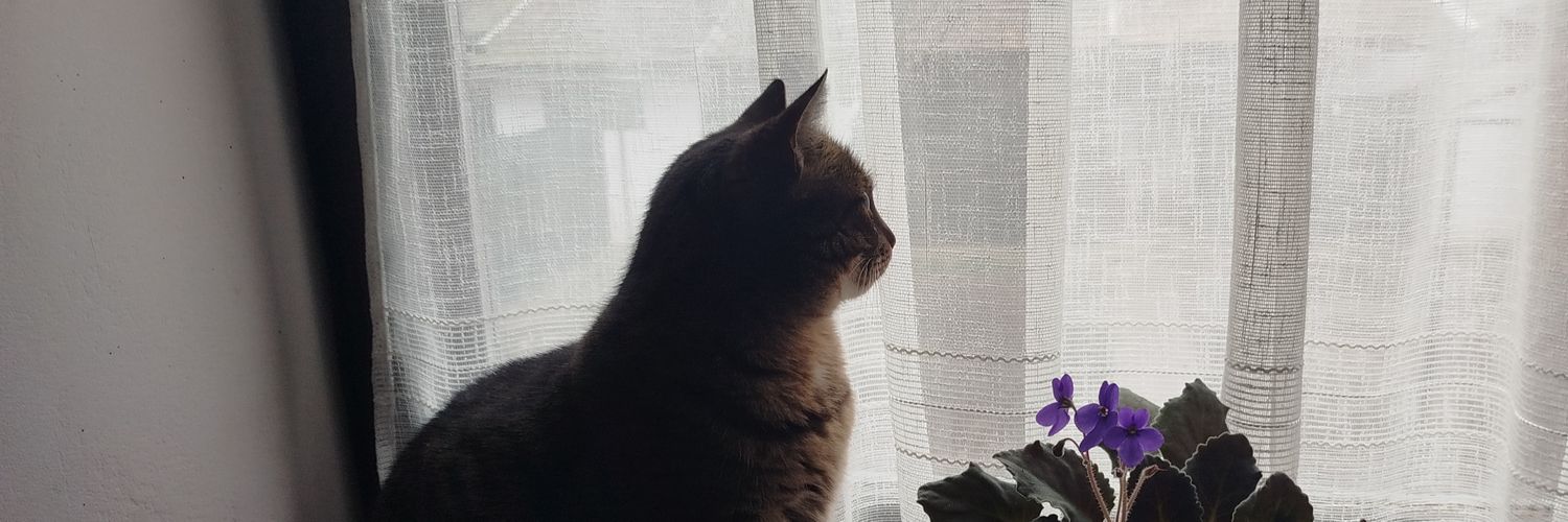 mirkovicz's profile banner image