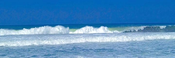 EchyaMonica's profile banner image