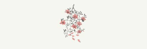 elena_mcc's profile banner image