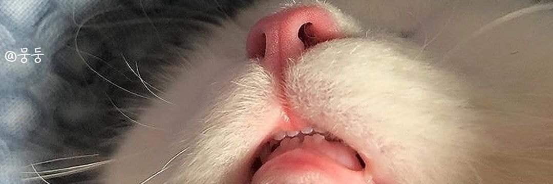 _nnatchavyy's profile banner image