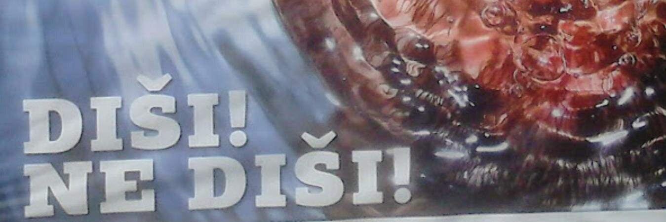 raca1951's profile banner image