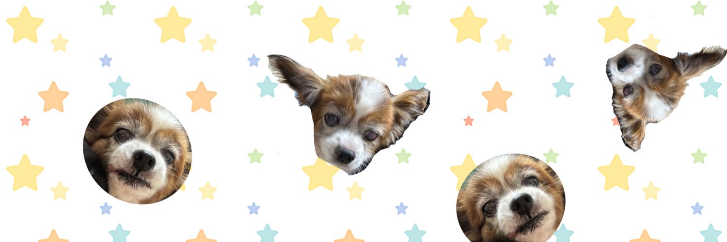 2009Choko's profile banner image