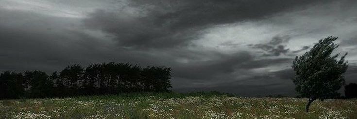 Patrick_Ratliff's profile banner image