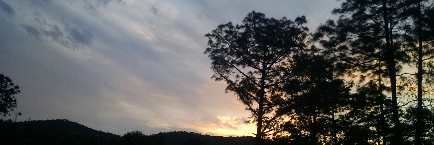 QqAgui's profile banner image