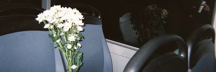 vairyroses's profile banner image
