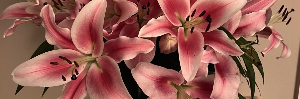 𝒅𝒊𝒚𝒂 🧸 banner