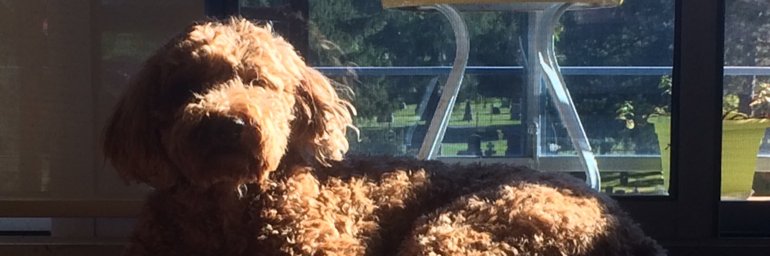 waffles317's profile banner image
