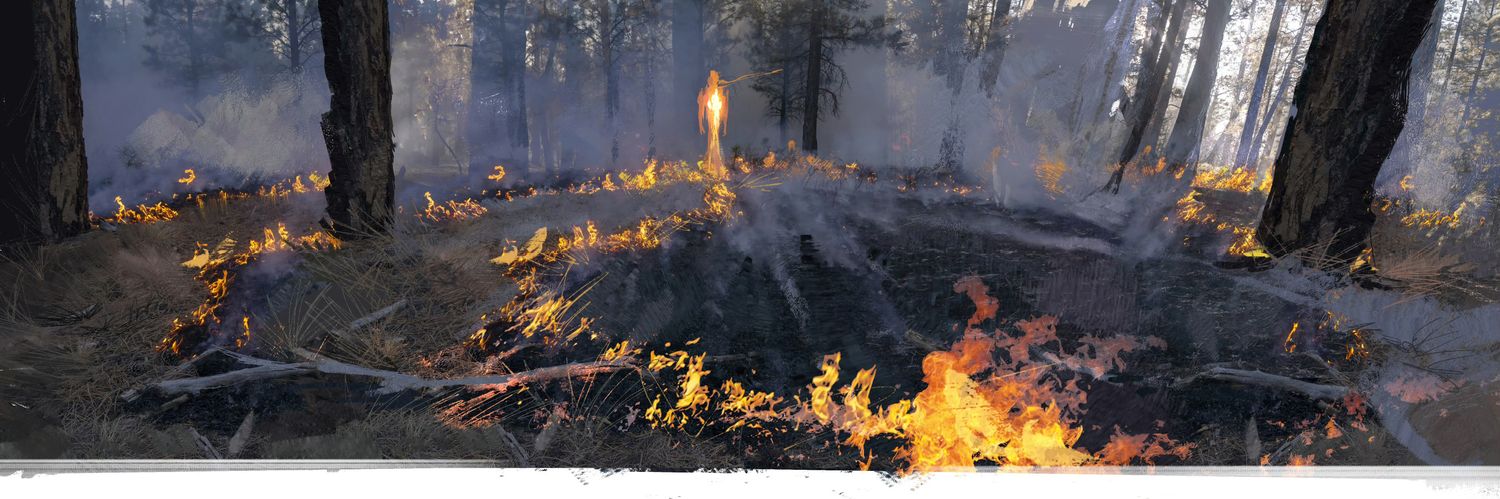 zxcveva's profile banner image