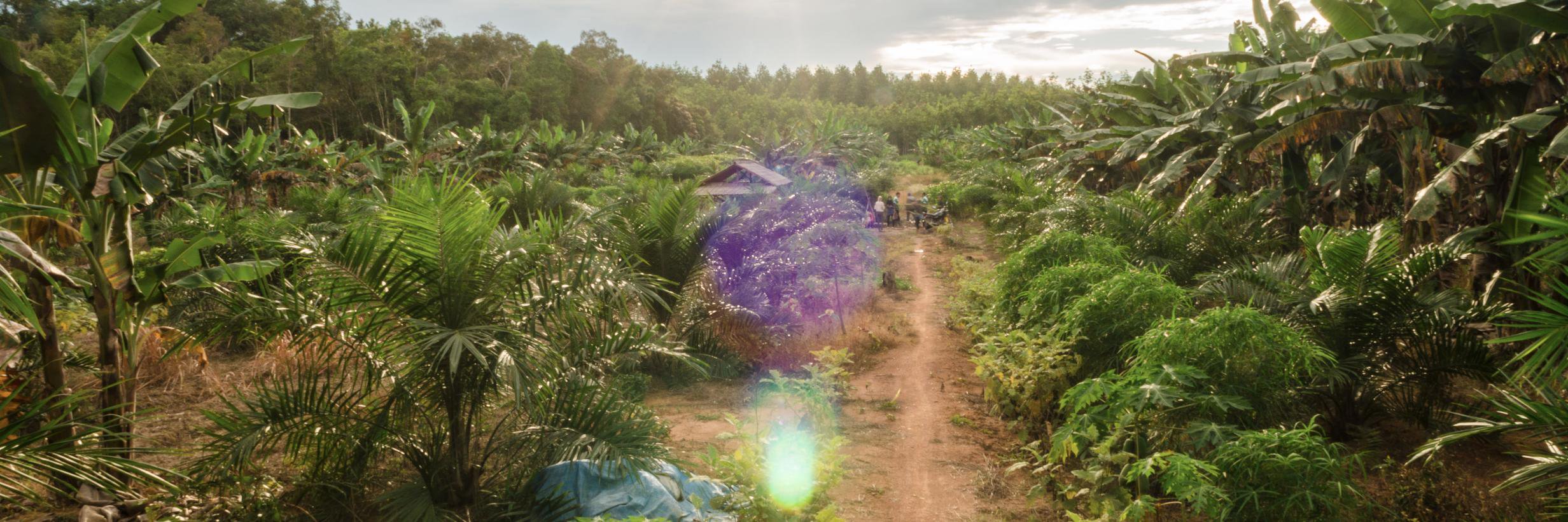 FoKSBI's profile banner image