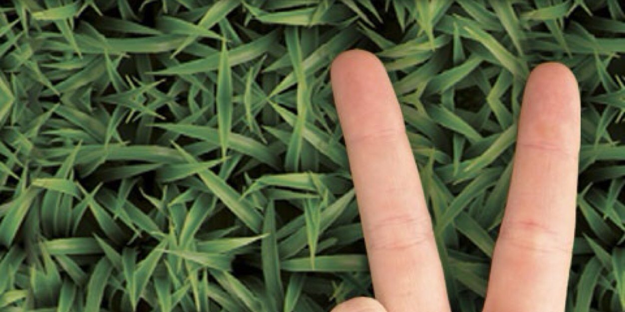 gertvanerum's profile banner image