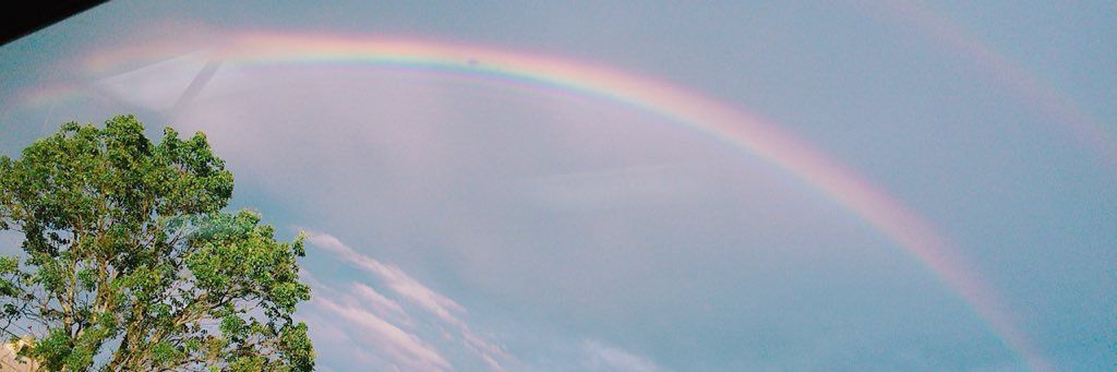 pcy_0606's profile banner image