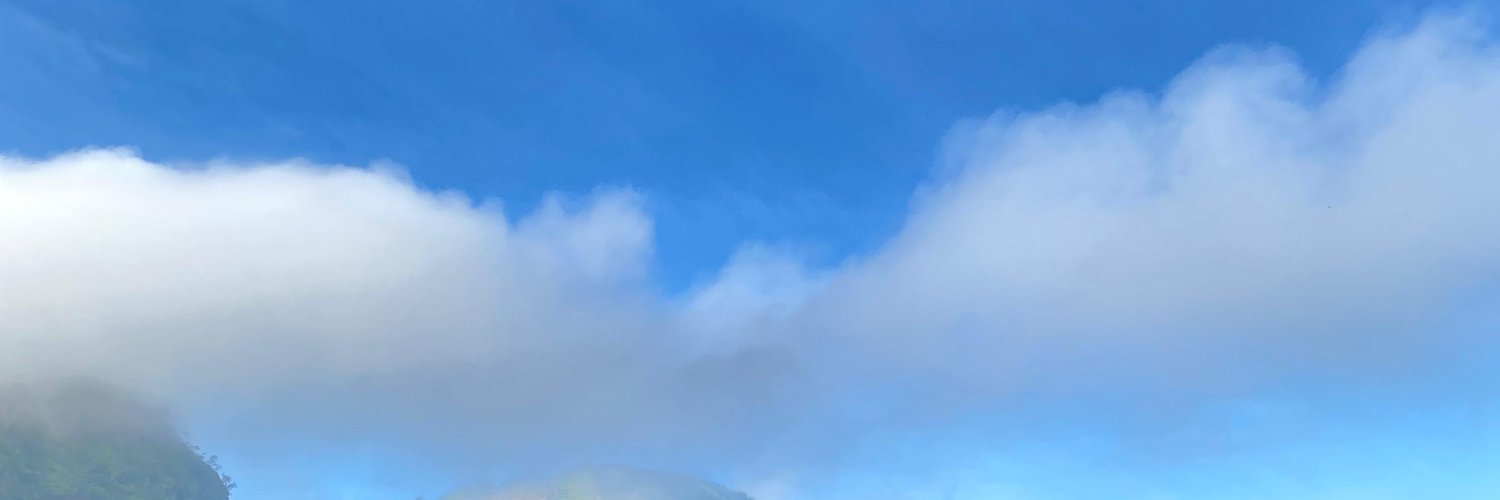 WinWithlalsa's profile banner image