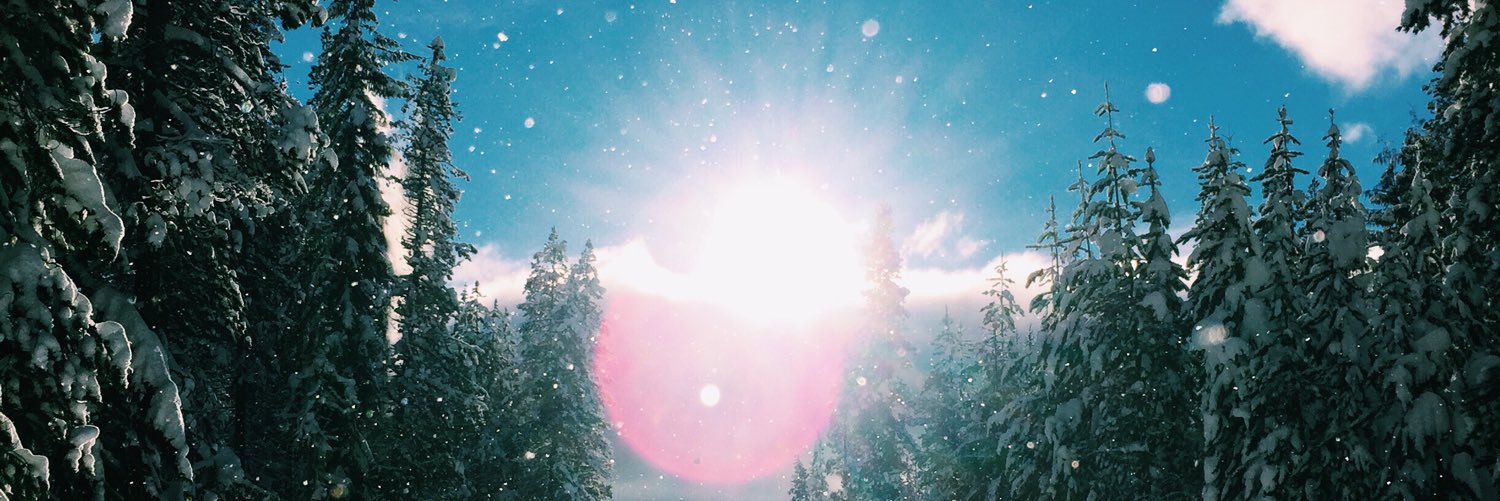 elenaphant's profile banner image