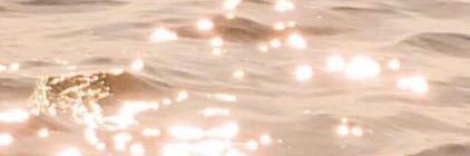 reyespaulaaa_'s profile banner image