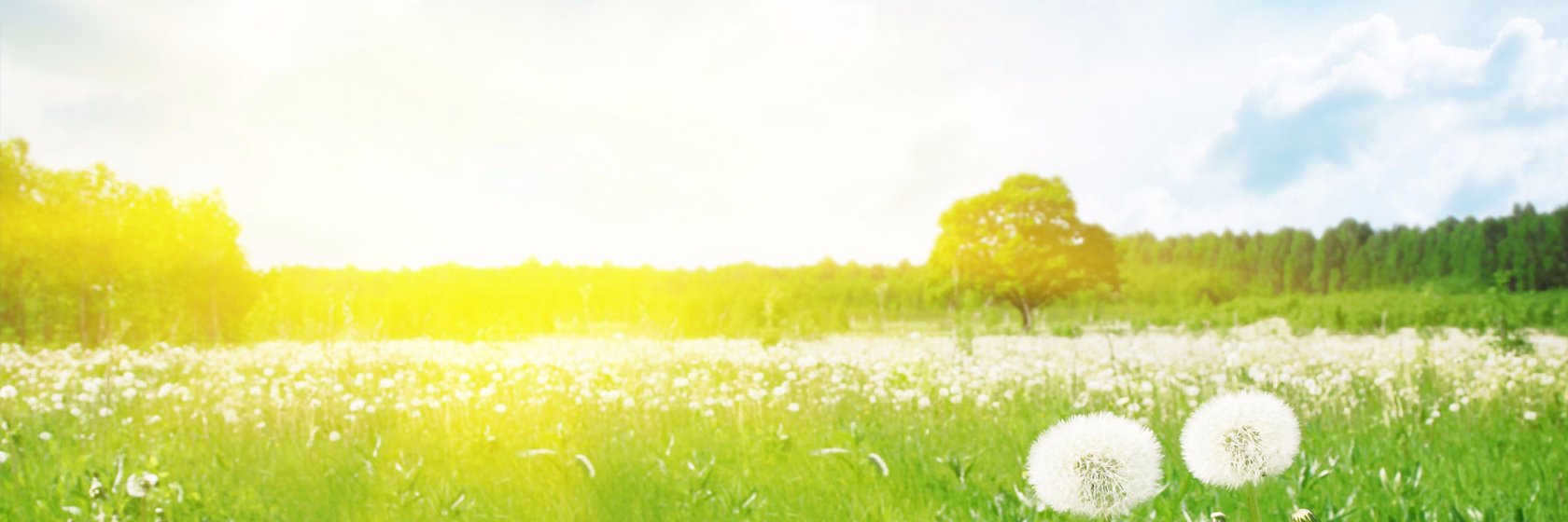 consnov34's profile banner image